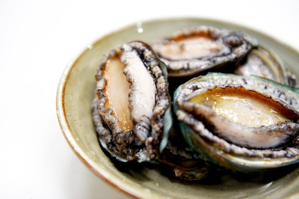 The Ultimate Abalone (Paua Shell) Handbook: Everything You Need to Know